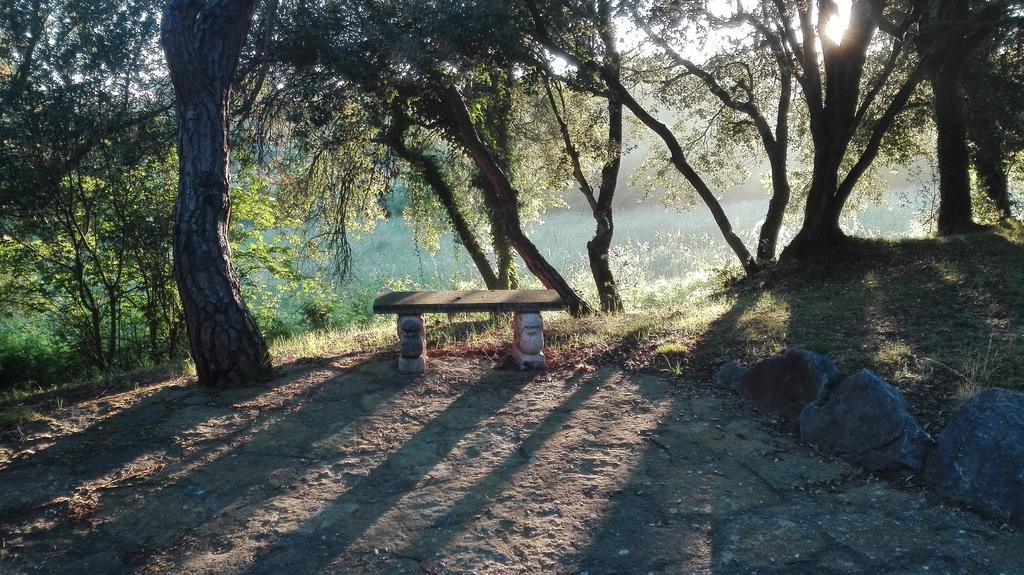 Vila Les Margarides Seva Exteriér fotografie